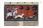 Wolf hunting, 14th century by Anonymous