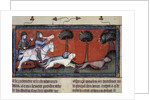 Wolf hunting, 14th century by Anonymous