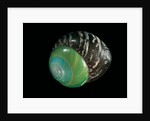 Asperitas polymorpha by Anonymous