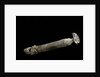 Brechites penis by Anonymous