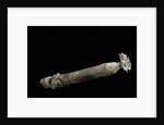 Brechites penis by Anonymous