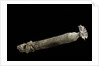 Brechites penis by Anonymous