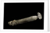 Brechites penis by Anonymous
