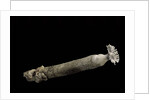 Brechites penis by Anonymous