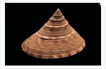 Calliostoma formosense by Anonymous