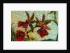 Orchids by Anonymous