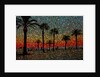 Sunset and Coconut Trees by Anonymous