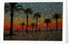 Sunset and Coconut Trees by Anonymous