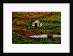 Hut by Anonymous