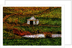 Hut by Anonymous