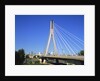 Most Slasko-Dabrowski Bridge, Warsaw, Poland by Anonymous