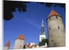 Oleviste Church, Old Town Wall, Old Town, Tallinn, Estonia by Anonymous