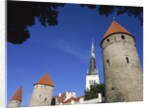 Oleviste Church, Old Town Wall, Old Town, Tallinn, Estonia by Anonymous