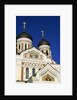 Alexander Nevski Cathedral, Toompea, Old Town, Tallinn, Estonia by Anonymous