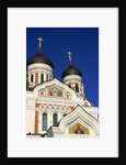 Alexander Nevski Cathedral, Toompea, Old Town, Tallinn, Estonia by Anonymous