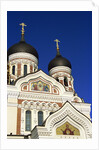 Alexander Nevski Cathedral, Toompea, Old Town, Tallinn, Estonia by Anonymous