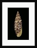 Mitra papalis by Anonymous