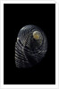 Nerita scabricostata by Anonymous