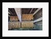 Interior of tobacco barn by Anonymous