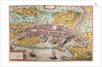 Map of Rimini from Civitates Orbis Terrarum by Anonymous