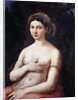 Portrait of a Young Woman or La Fornarina by Raphael