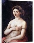 Portrait of a Young Woman or La Fornarina by Raphael
