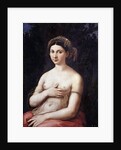 Portrait of a Young Woman or La Fornarina by Raphael