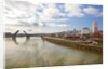 cherry trees along down town Portland and Willamette River, Portland Oregon by Anonymous