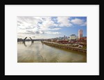 cherry trees along down town Portland and Willamette River, Portland Oregon by Anonymous