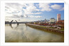 cherry trees along down town Portland and Willamette River, Portland Oregon by Anonymous