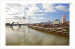 cherry trees along down town Portland and Willamette River, Portland Oregon by Anonymous