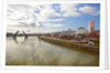 cherry trees along down town Portland and Willamette River, Portland Oregon by Anonymous