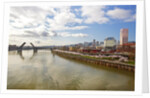 cherry trees along down town Portland and Willamette River, Portland Oregon by Anonymous