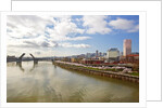 cherry trees along down town Portland and Willamette River, Portland Oregon by Anonymous