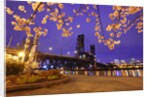 cherry blossoms and water front park, Steel ridge, Willamette River, Portland Oregon by Anonymous