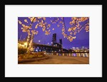 cherry blossoms and water front park, Steel ridge, Willamette River, Portland Oregon by Anonymous