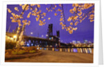 cherry blossoms and water front park, Steel ridge, Willamette River, Portland Oregon by Anonymous