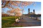 sunrie cherry trees and Steel Bridge, Portland Oregon by Anonymous