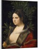 Portrait of Laura de Noves by Giorgione