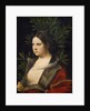 Portrait of Laura de Noves by Giorgione