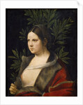 Portrait of Laura de Noves by Giorgione