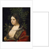Portrait of Laura de Noves by Giorgione