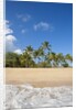 Hulopo'e Beach by Anonymous
