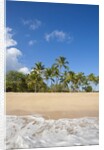 Hulopo'e Beach by Anonymous