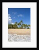 Hulopo'e Beach by Anonymous