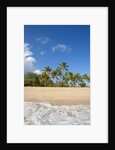 Hulopo'e Beach by Anonymous