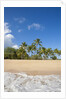 Hulopo'e Beach by Anonymous