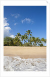 Hulopo'e Beach by Anonymous