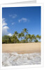 Hulopo'e Beach by Anonymous