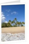 Hulopo'e Beach by Anonymous